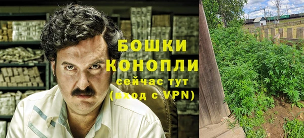 ПСИЛОЦИБИНОВЫЕ ГРИБЫ Горняк
