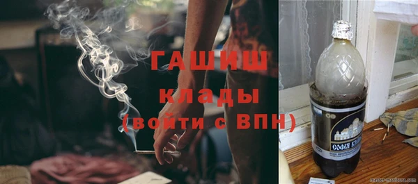 ПСИЛОЦИБИНОВЫЕ ГРИБЫ Горняк