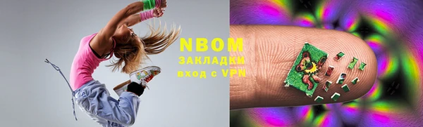 ПСИЛОЦИБИНОВЫЕ ГРИБЫ Горняк