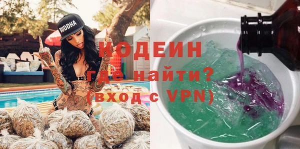 ПСИЛОЦИБИНОВЫЕ ГРИБЫ Горняк