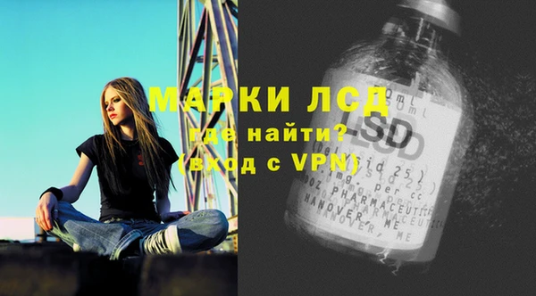 гашик Снежногорск