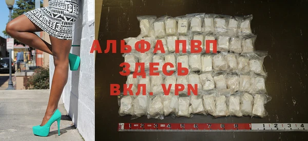 ПСИЛОЦИБИНОВЫЕ ГРИБЫ Горняк