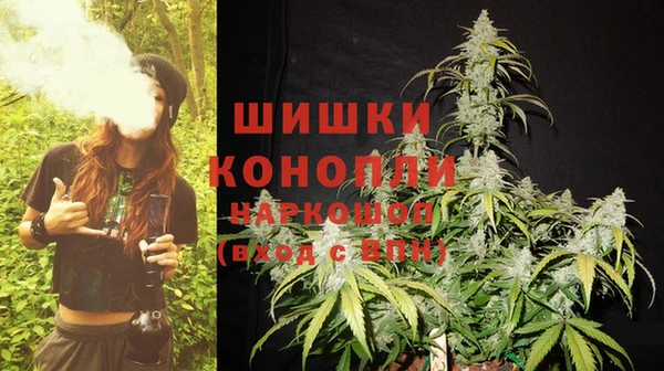 крисы Сосновоборск