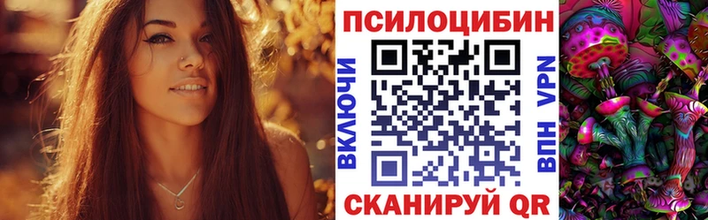 Псилоцибиновые грибы Psilocybe  Гороховец 